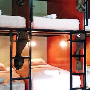 Dormitory Room Mixed